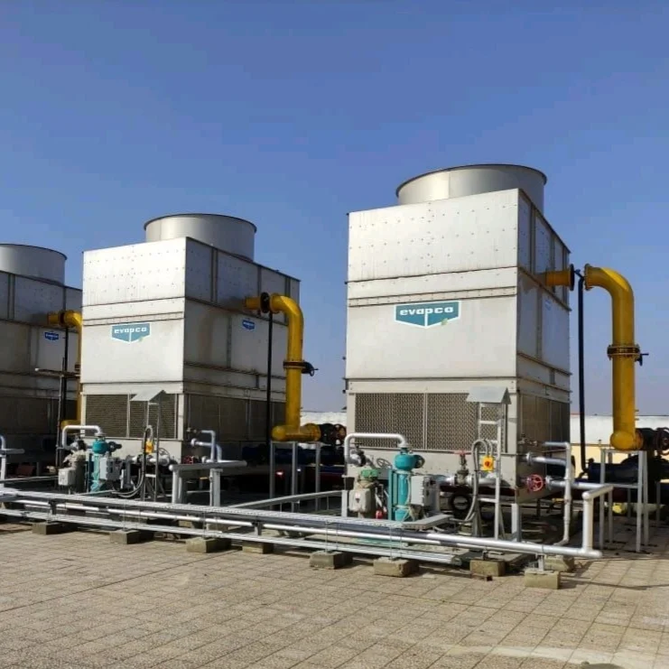 Electromechanical plant and chillers on an Atrium project